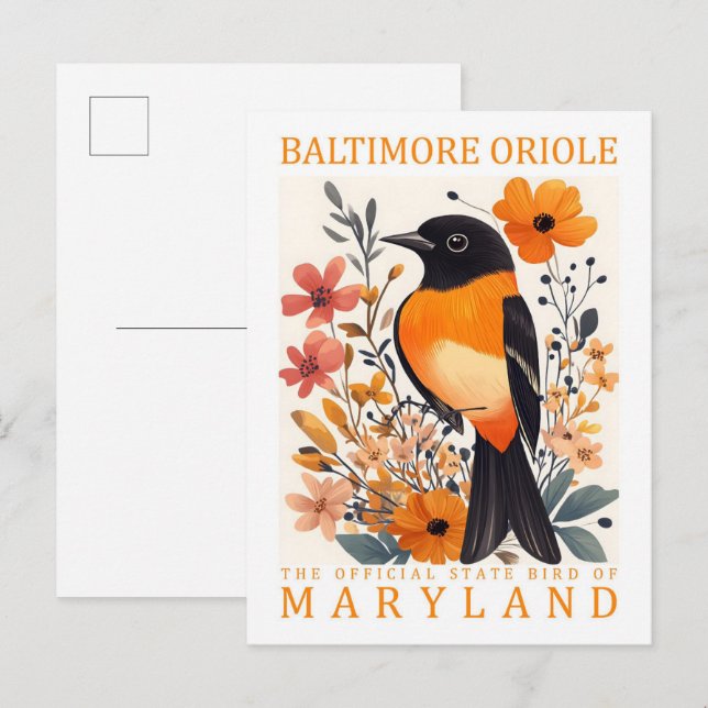 Carte Postale Baltimore Oriole Bird of Maryland USA Travel (Devant / Derrière)