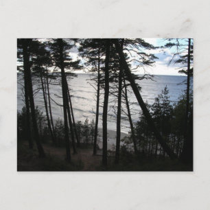 Carte Postale Baltique Rive de la mer Baltique Klaipeda Lituanie