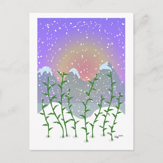 Carte postale Bamboo Winter (Devant)