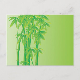 Carte Postale Bambou