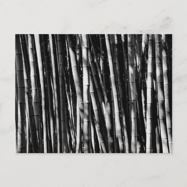 Carte Postale Bambou (Devant)