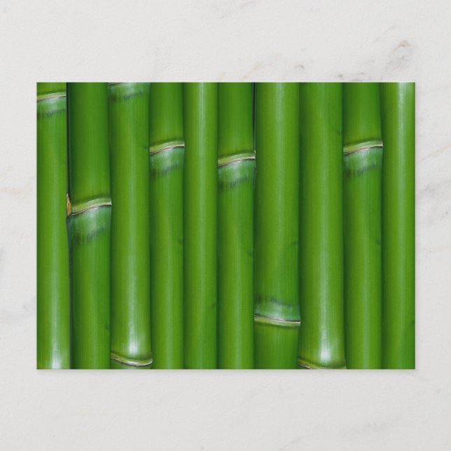 Carte Postale Bambou vert (Devant)