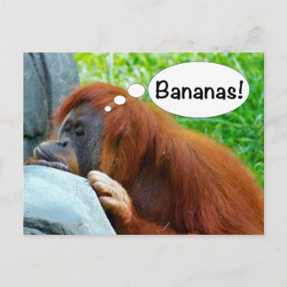 Carte Postale Bananes !
