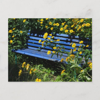 Carte Postale banc bleu surélevé