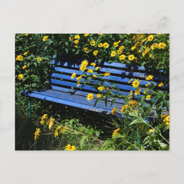 Carte Postale banc bleu surélevé (Devant)