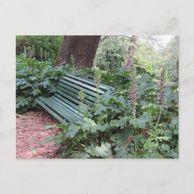 Carte Postale Banc dans le parc (Devant)