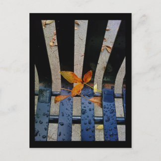 Carte Postale banc d'automne