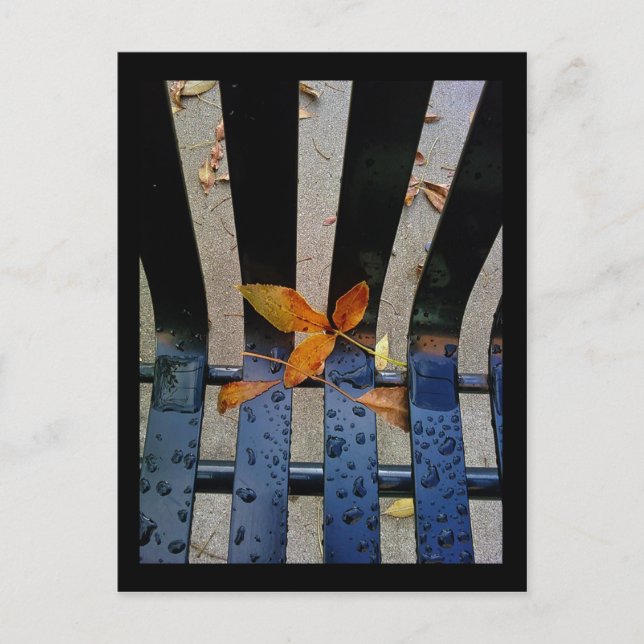 Carte Postale banc d'automne (Devant)