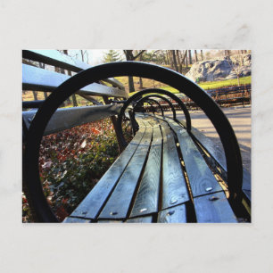 Carte Postale Banc de parc unique à Central Park, New York