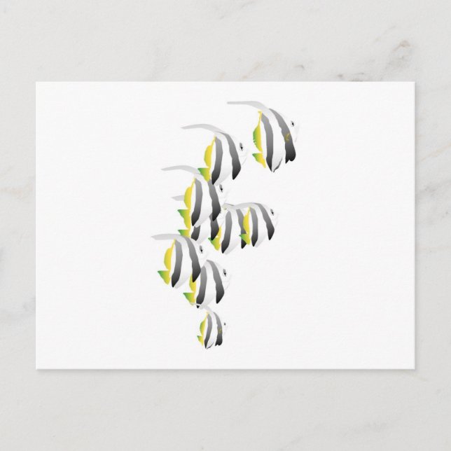 Carte Postale Banc de poissons tropicaux (Devant)