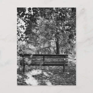 Carte Postale Banc du parc