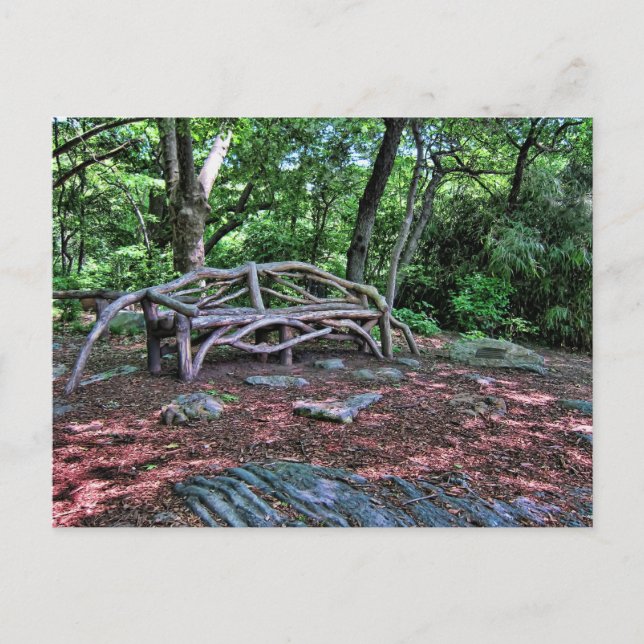 Carte Postale Banc en bois à Central Park, New York (Devant)