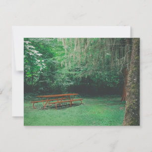 Carte postale Banc Mossy vintage