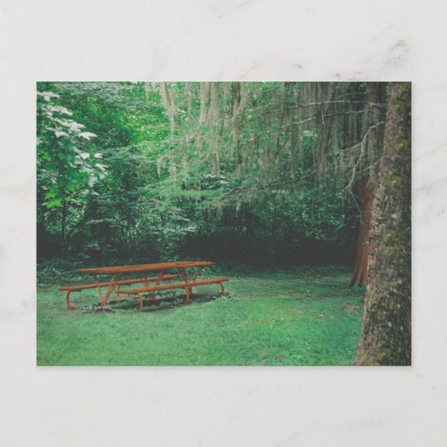 Carte postale Banc Mossy vintage (Devant)