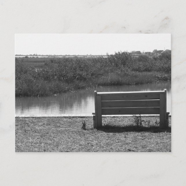 Carte Postale Banc par rivière photo noir et blanc (Devant)