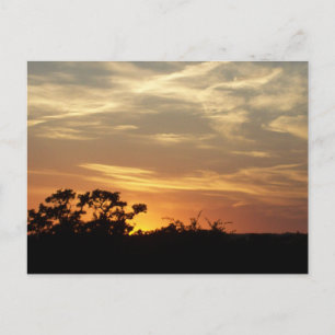 Carte postale Bandera Texas Sunset