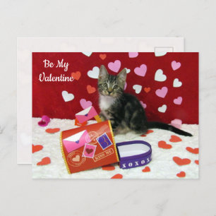 Carte postale Bandit La Saint Valentin du chat