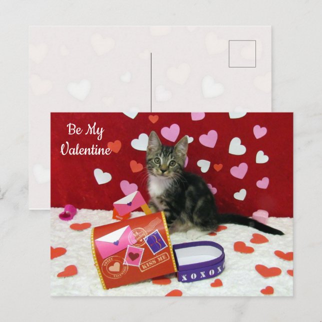Carte postale Bandit La Saint Valentin du chat (Devant / Derrière)