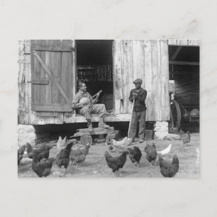 Carte Postale Banjo Player, 1927 de basse-cour
