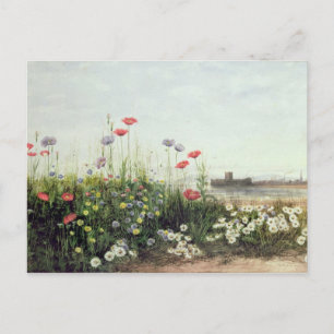 Carte Postale Bank of Summer Flowers