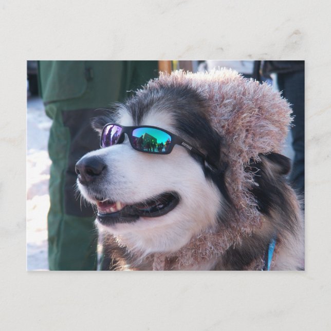 Carte postale Banshee (Devant)