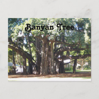 Carte Postale Banyan Tree