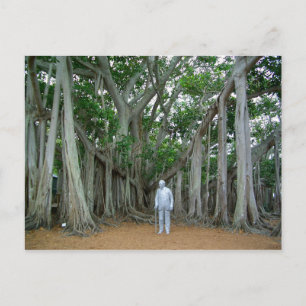 Carte Postale Banyan Tree Edison & Ford Estate Ft Myers Floride