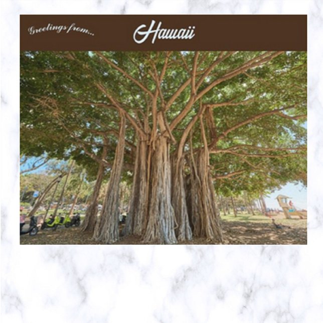 Carte Postale Banyan Tree Queens Beach à Honolulu Oahu Hawaii (Créateur téléchargé)