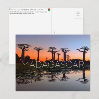 Carte Postale Baobab Alley, Madagascar Travel Postcard
