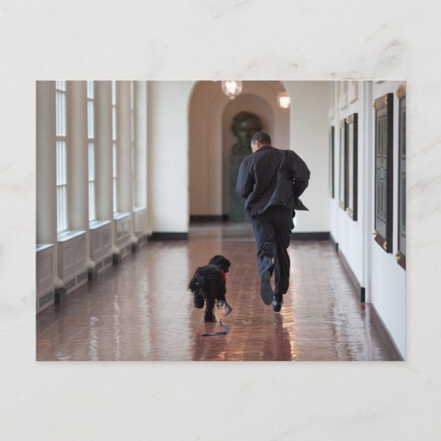 Carte Postale Barack & Bo Obama (Devant)