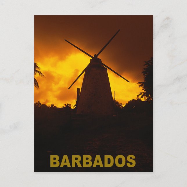 Carte Postale Barbade (Devant)