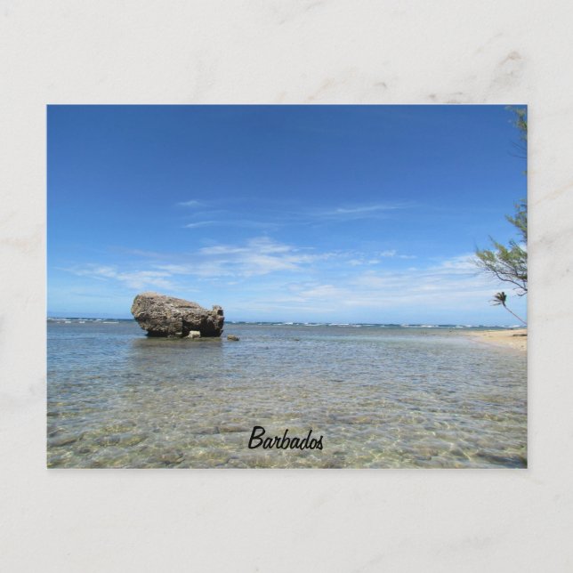 Carte Postale Barbade - Côte Est 1 (Devant)