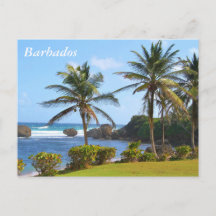 Carte postale, Barbade, Scène de plage, Palmiers
