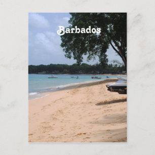 Carte Postale Barbados Beach