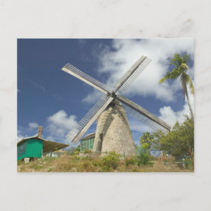 Carte Postale BARBADOS, Côte du Nord-Est, Morgan Lewis : Morgan