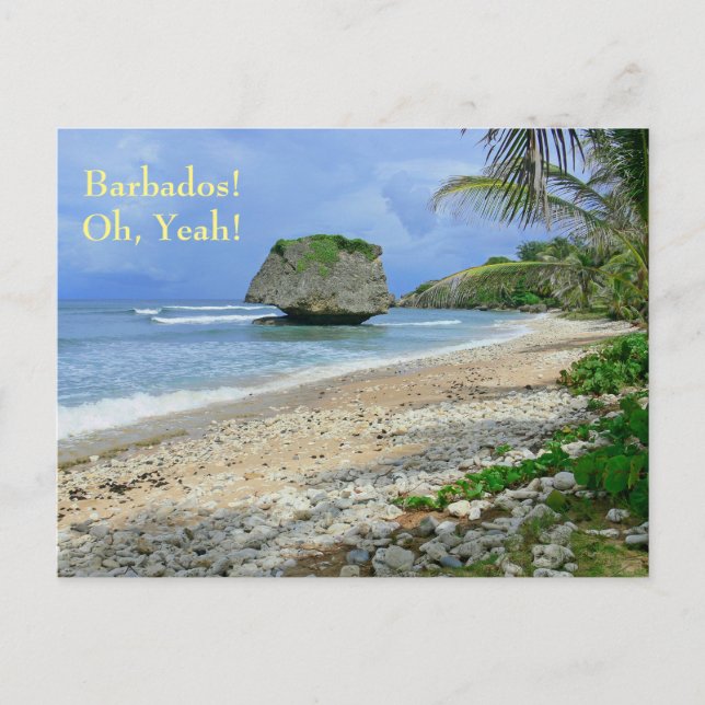 carte postale, BARBADOS ! OH, OUI !/ BATHSHEBA ROC (Devant)
