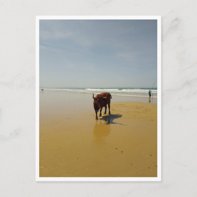 Carte Postale Barbate, Andalousie (Espagne) (Devant)