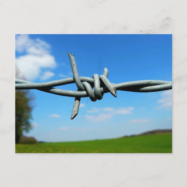 Carte postale Barbed-Wire Fence (Devant)