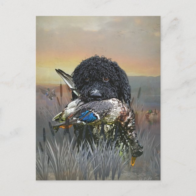 Carte Postale Barbet, Chien d'eau français (Devant)