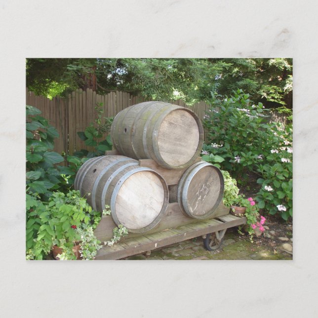 Carte Postale Barils de vin - Pays du vin (Devant)