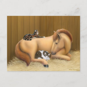 Carte postale Barn Friends