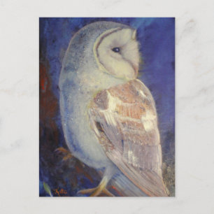 Carte Postale Barn Owl