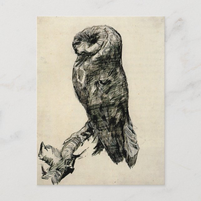Carte Postale Barn Owl vu du côté par Vincent van Gogh (Devant)