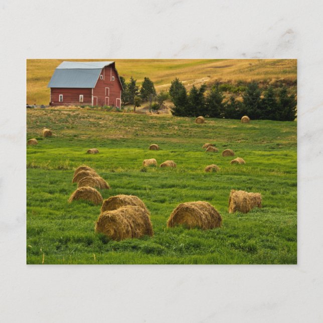 Carte Postale Barne rouge, balles de foin, Albion, Palouse Area  (Devant)