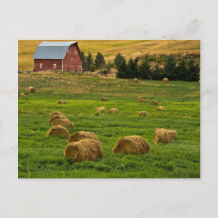 Carte Postale Barne rouge, balles de foin, Albion, Palouse Area 