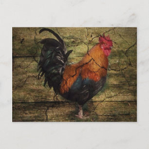 Carte Postale Barne Wood Farm Poulet de la campagne française