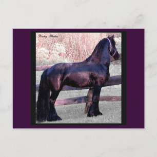 Carte Postale Baroque Horse, Personnalisable