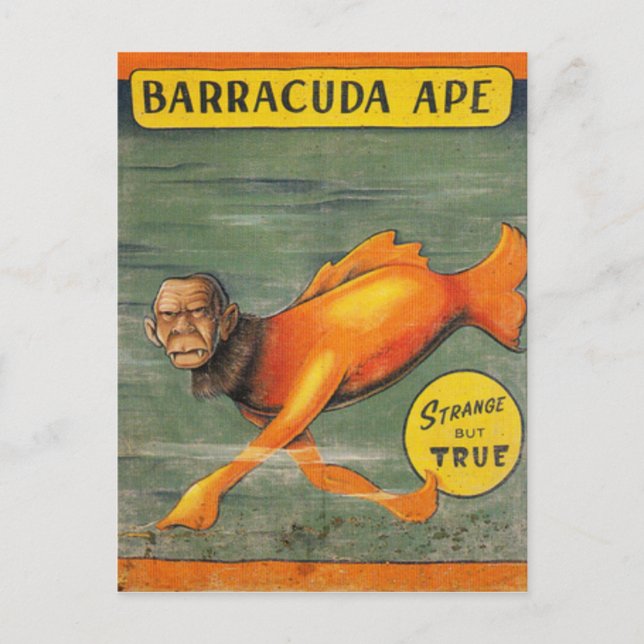 Carte Postale Barracuda (Devant)