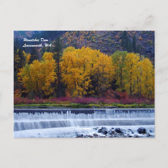 Carte Postale Barrage de Wenatchee (Devant)