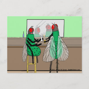 Carte postale "Barre"